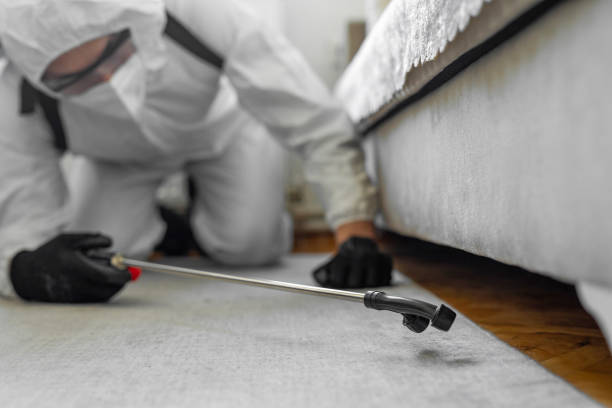 Professional Bed Bug Control technician working in Beauregard Parish County, LA